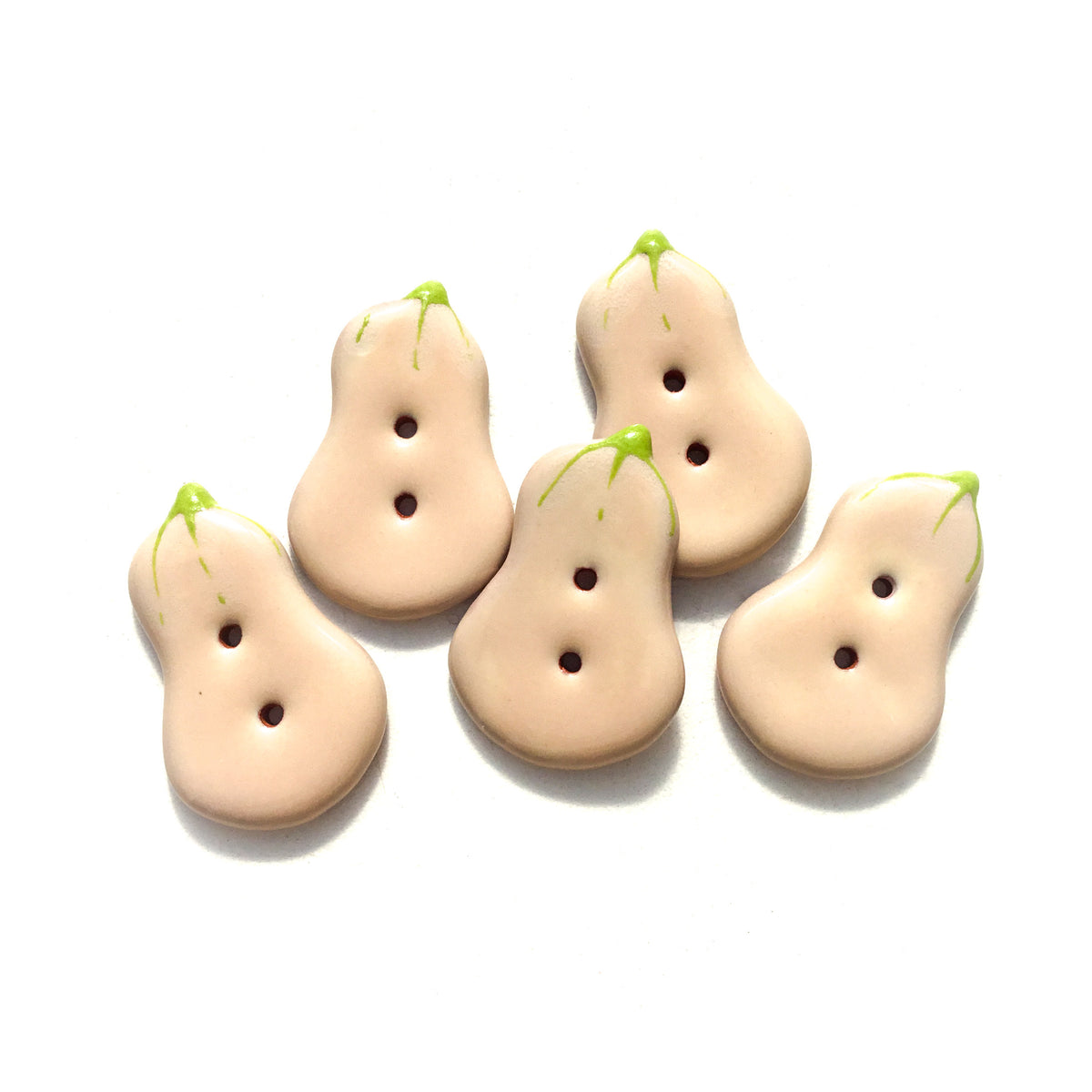 Butternut Button Winter Squash 'Butternut' Buttons 7/8
