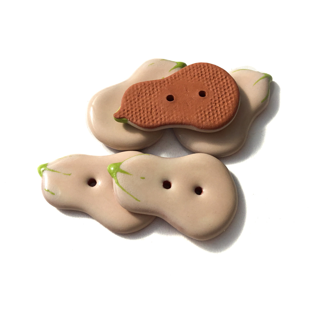 Butternut Button Winter Squash 'Butternut' Buttons 7/8