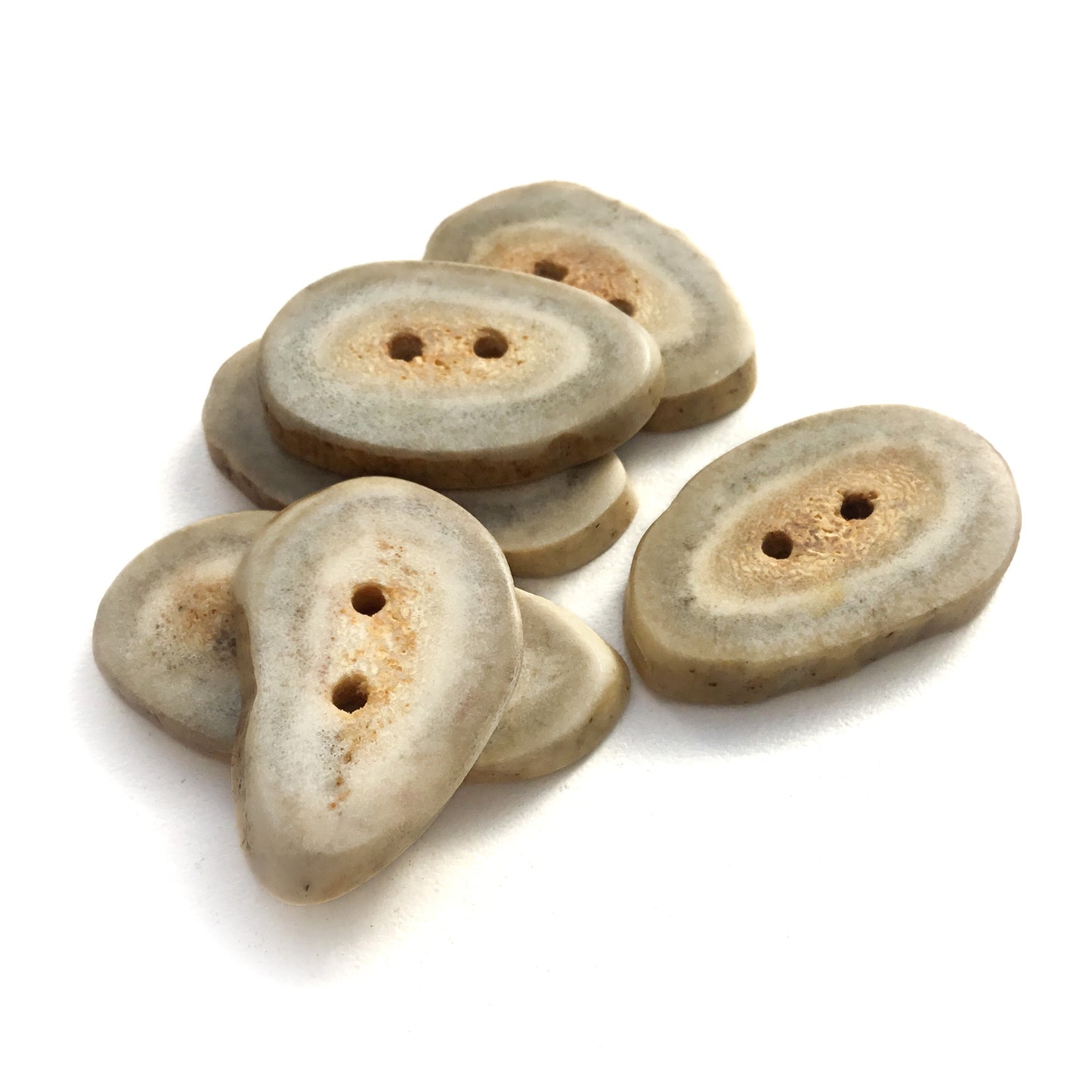 Deer Antler Shed Buttons  3/4" x 1-1/4"