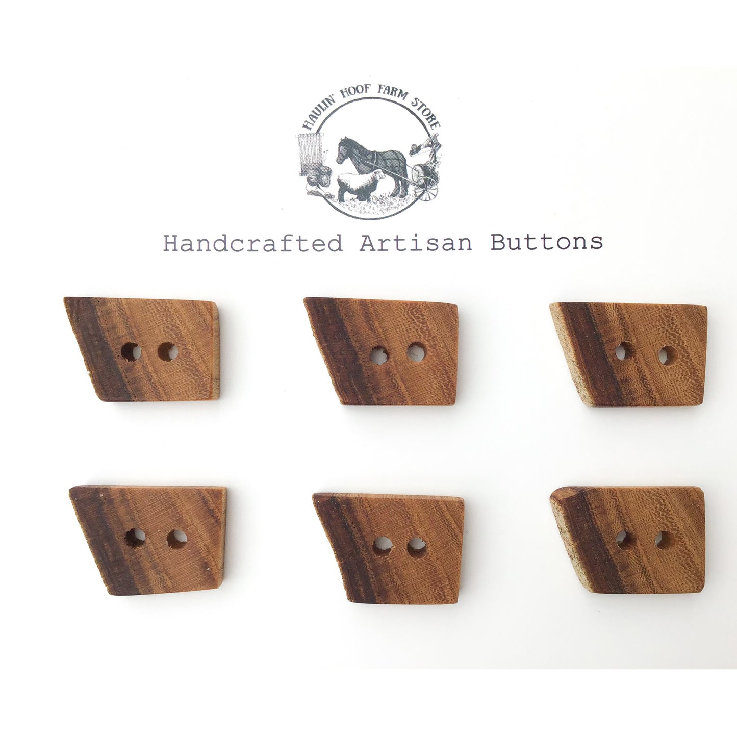 Rustic American Elm Wood Buttons - Live Edge American Elm Buttons -  5/8" x 7/8" - 6 Pack