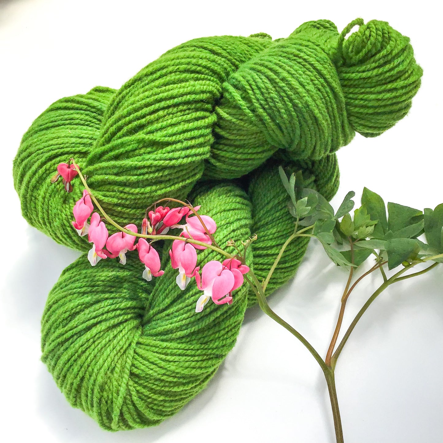 Hand-dyed Moorit Merino Yarn - DK - Light Worsted Weight - Tomato Leaf Green