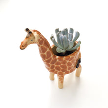 Load image into Gallery viewer, Giraffe Planter - Giraffe Succulent Pot