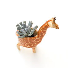 Load image into Gallery viewer, Giraffe Planter - Giraffe Succulent Pot