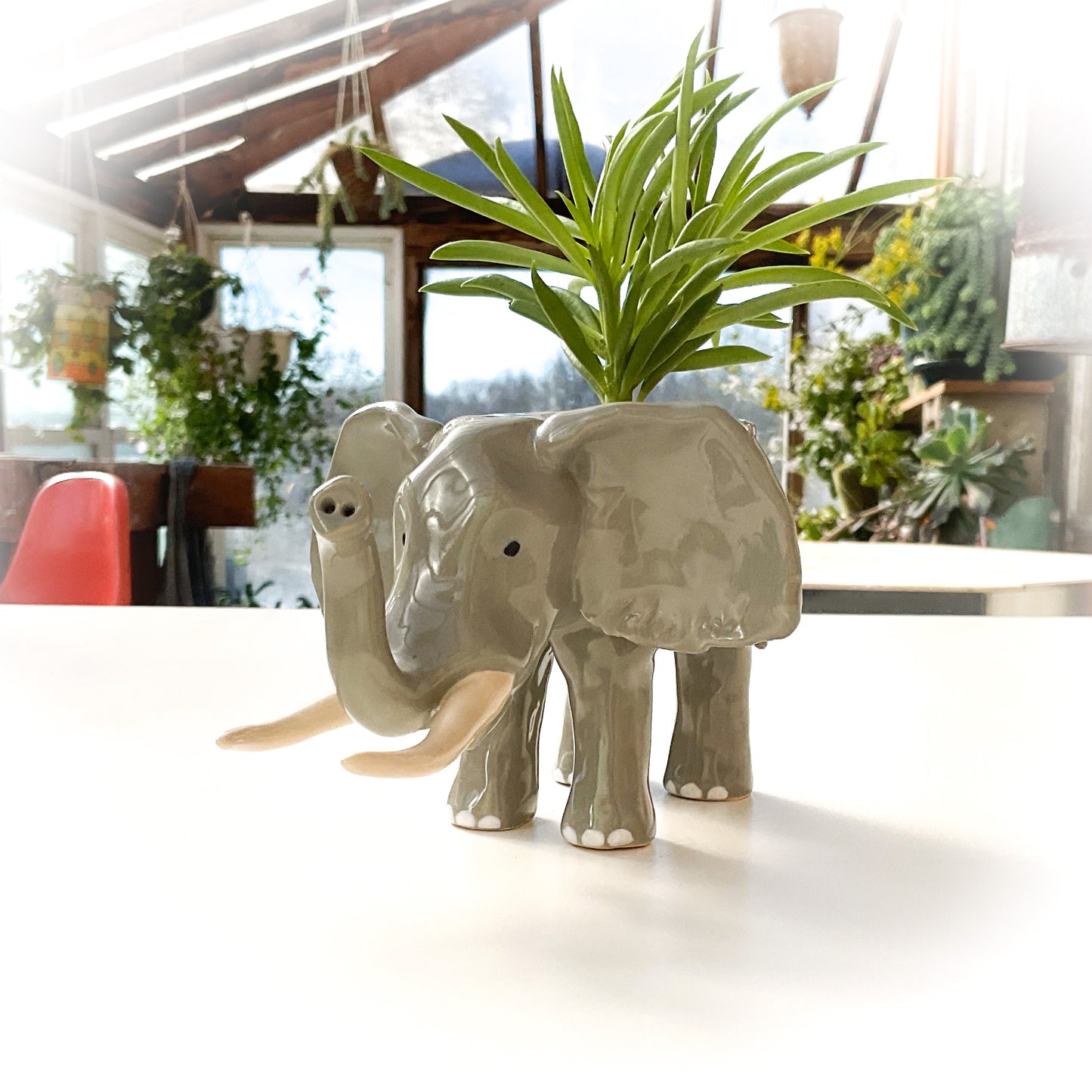 African Elephant Planter - Elephant Succulent Pot