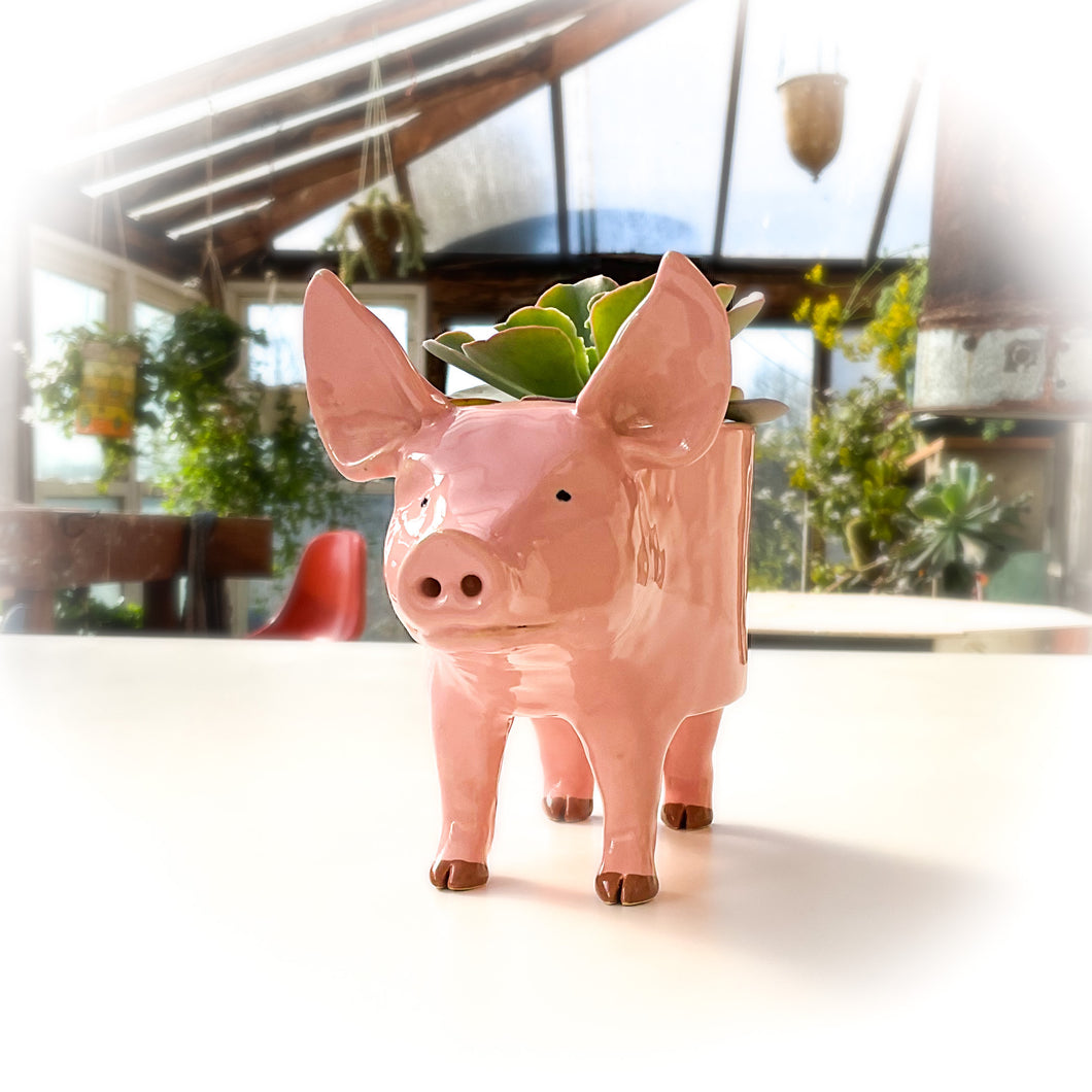 Pink Yorkshire Pig Pot - Ceramic Pig Planter