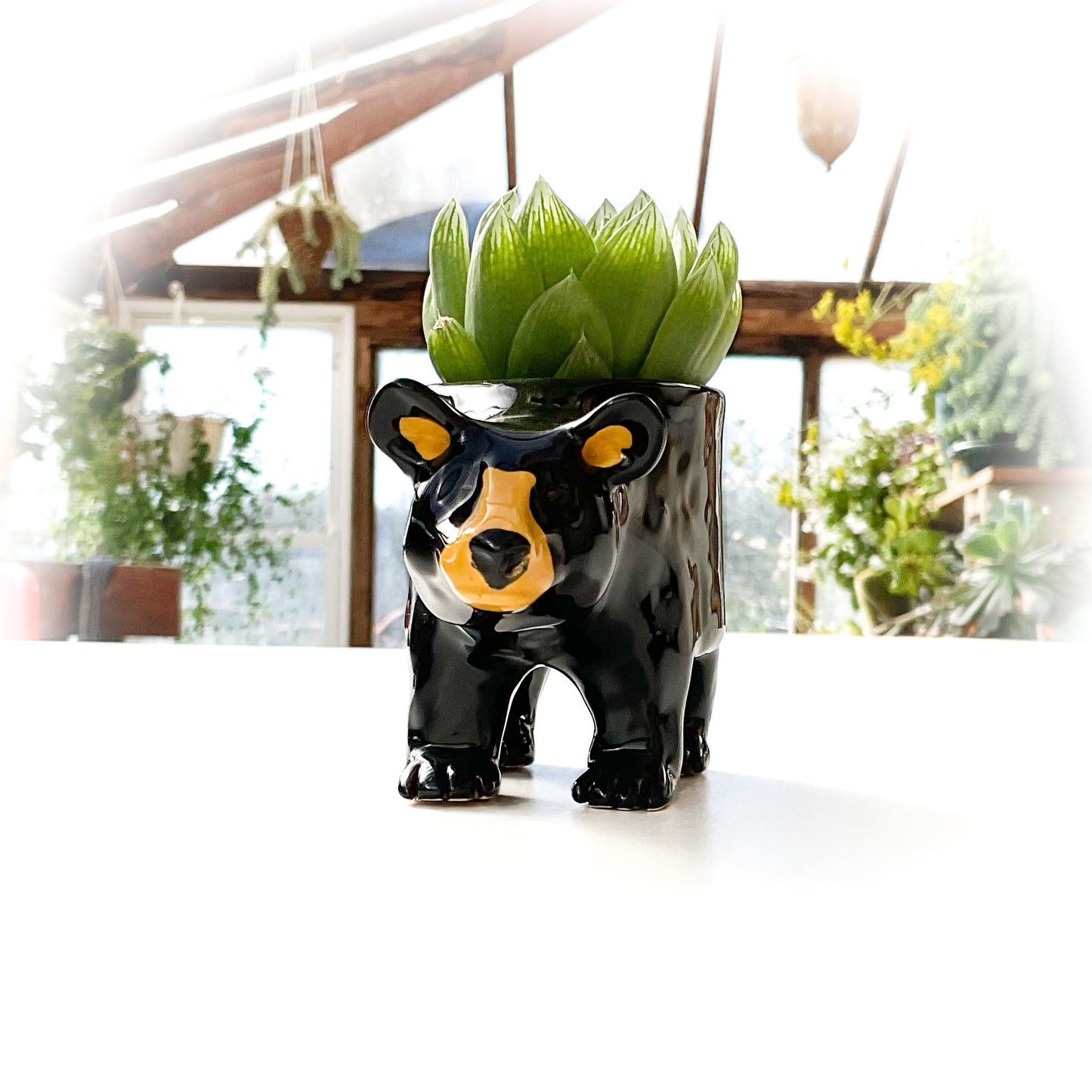 Black Bear Pot - Ceramic Bear Planter
