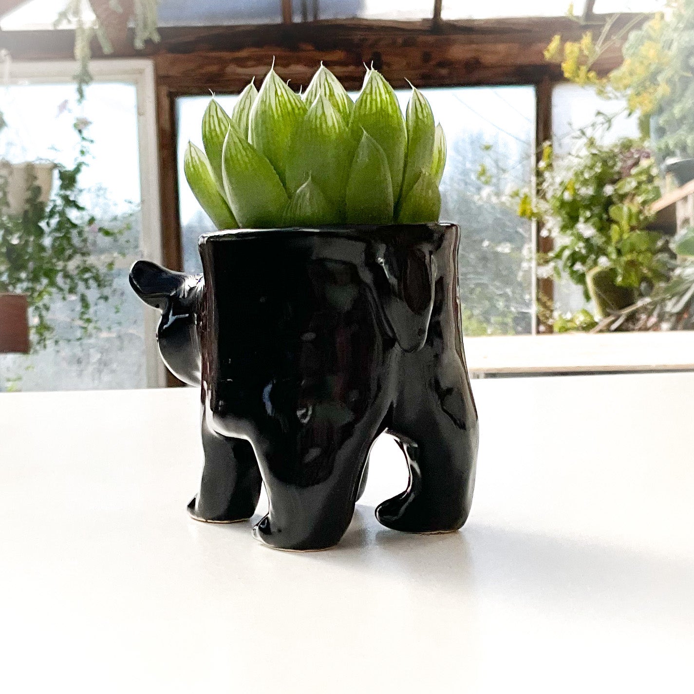 Black Bear Pot - Ceramic Bear Planter