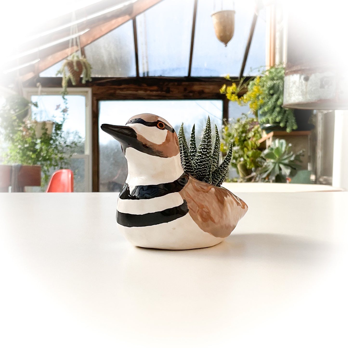 Killdeer Bird Pot - Ceramic Killdeer Planter