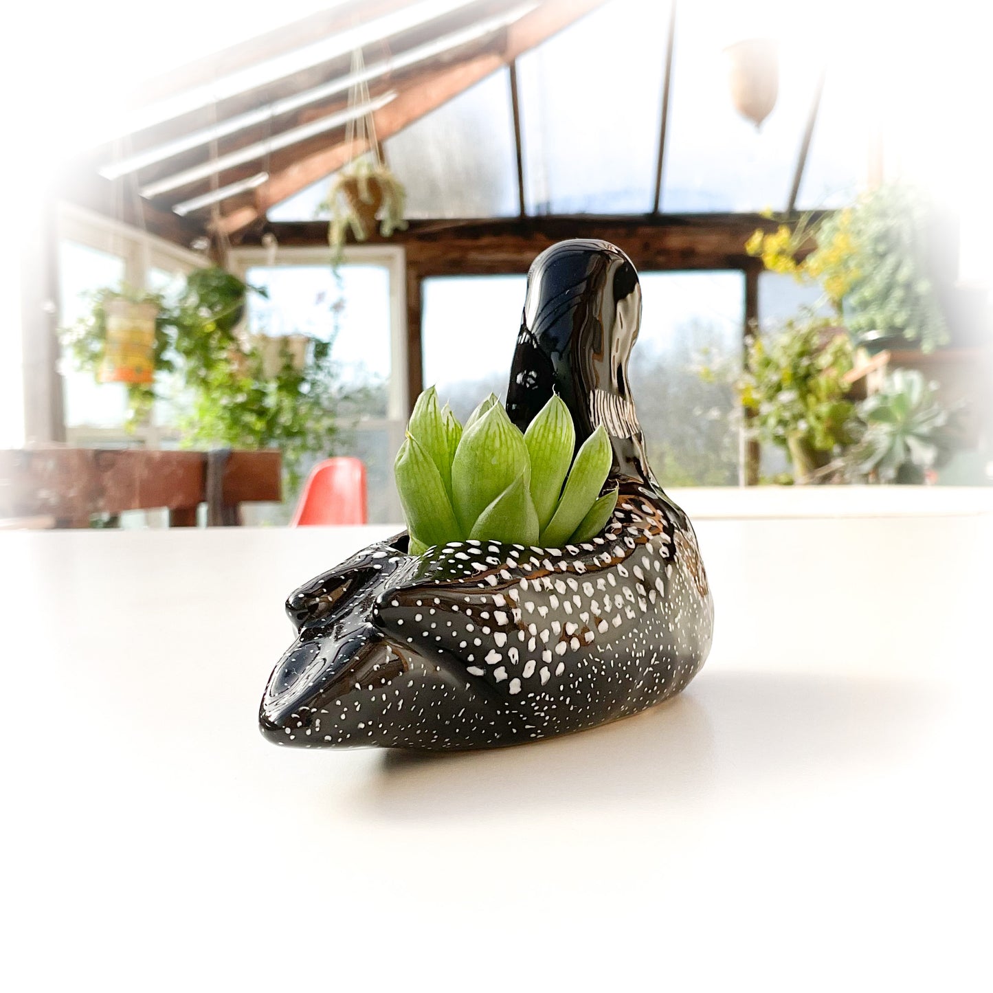 Loon Bird Pot - Ceramic Loon Planter
