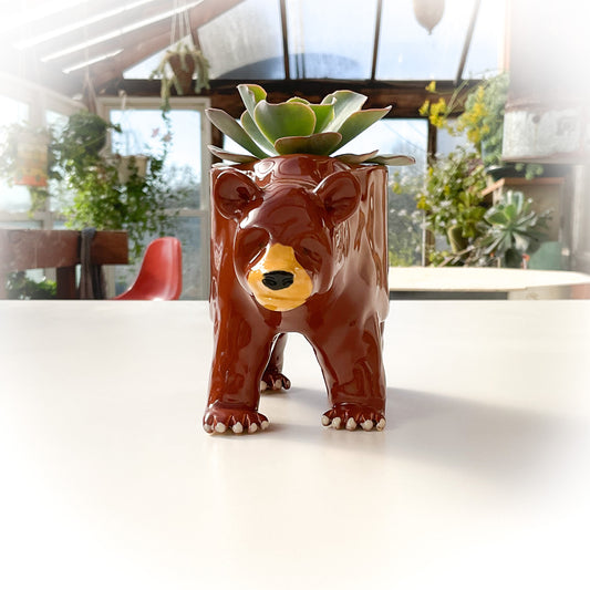 Grizzly Bear Pot - Ceramic Bear Planter