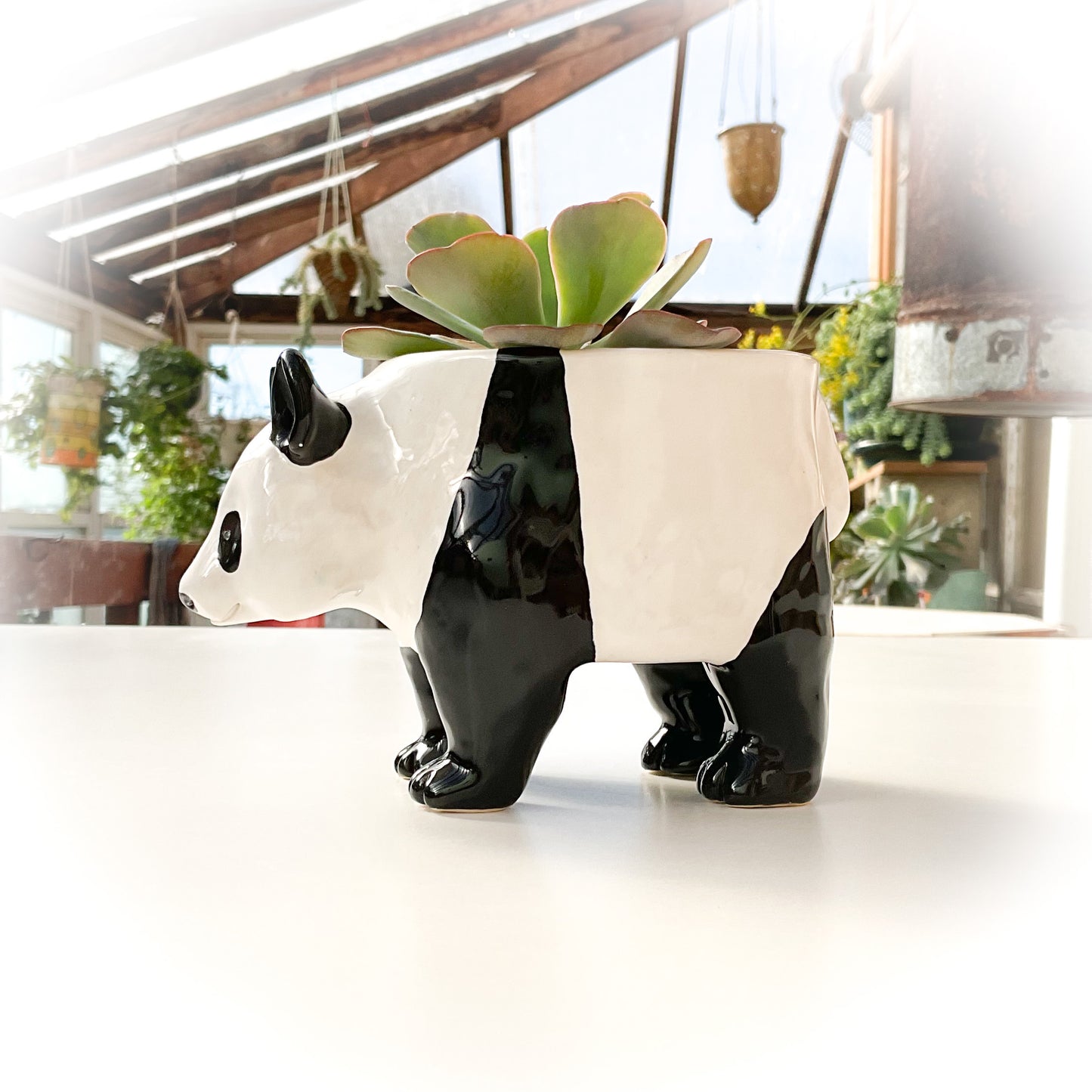 Giant Panda Pot - Ceramic Panda Bear Planter