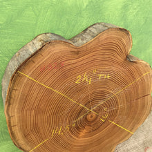 Load image into Gallery viewer, Black Locust Wood Cross Section - Live Edge Wood Slice - 14.5&quot;-16&quot; x 2.25&quot;