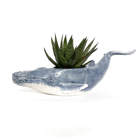 Humpback Whale Pot- Ceramic Whale Planter