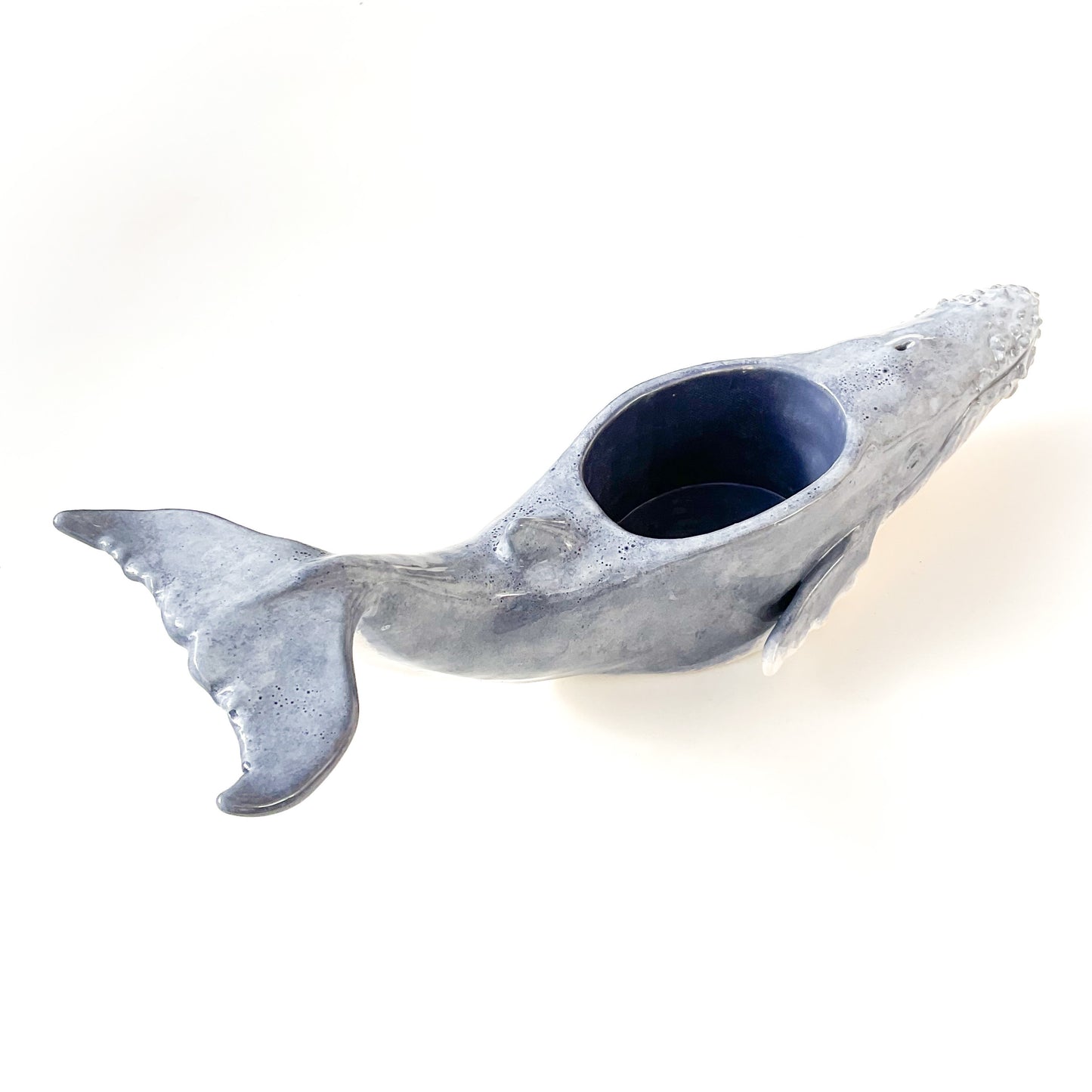 Humpback Whale Pot- Ceramic Whale Planter