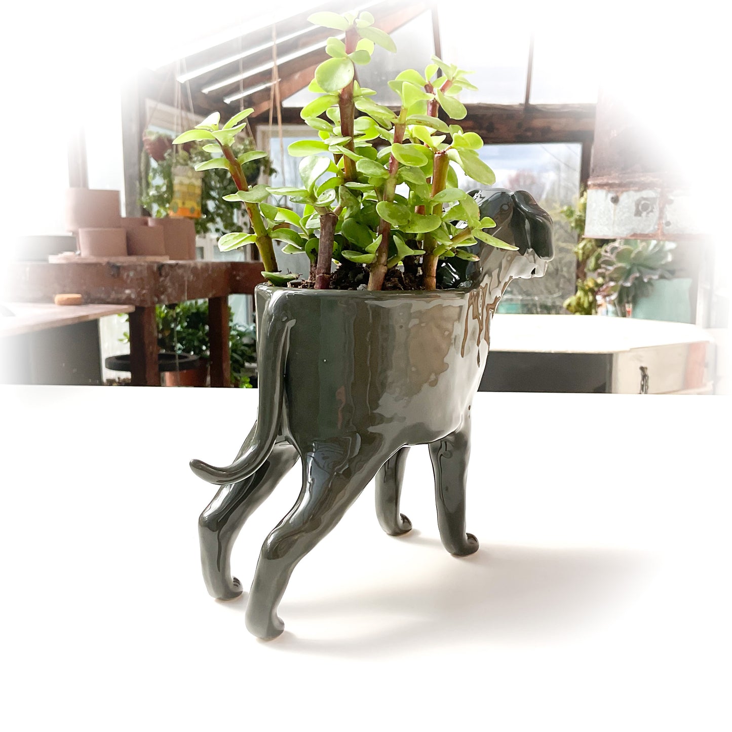 Great Dane Dog Planter - Ceramic Dog Plant Pot