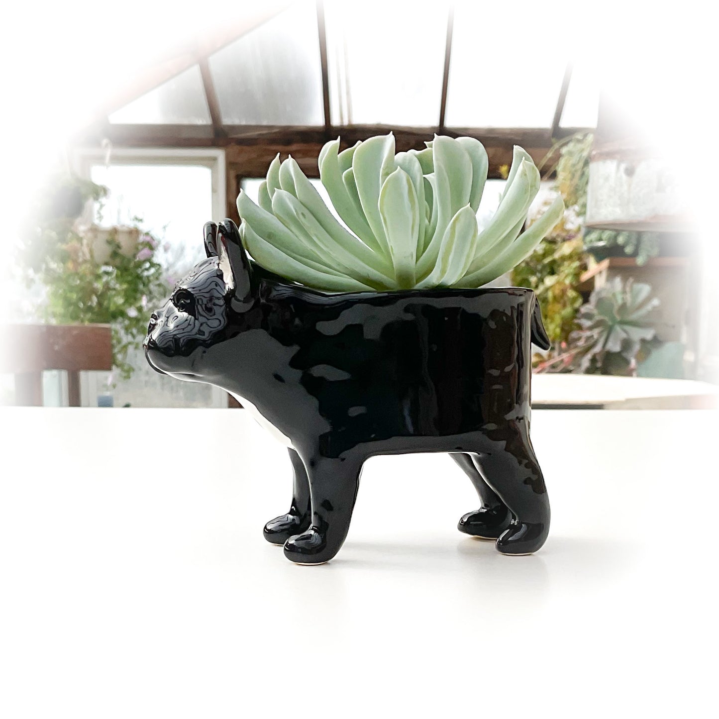 French Bulldog Dog Planter - Ceramic Dog Plant Pot