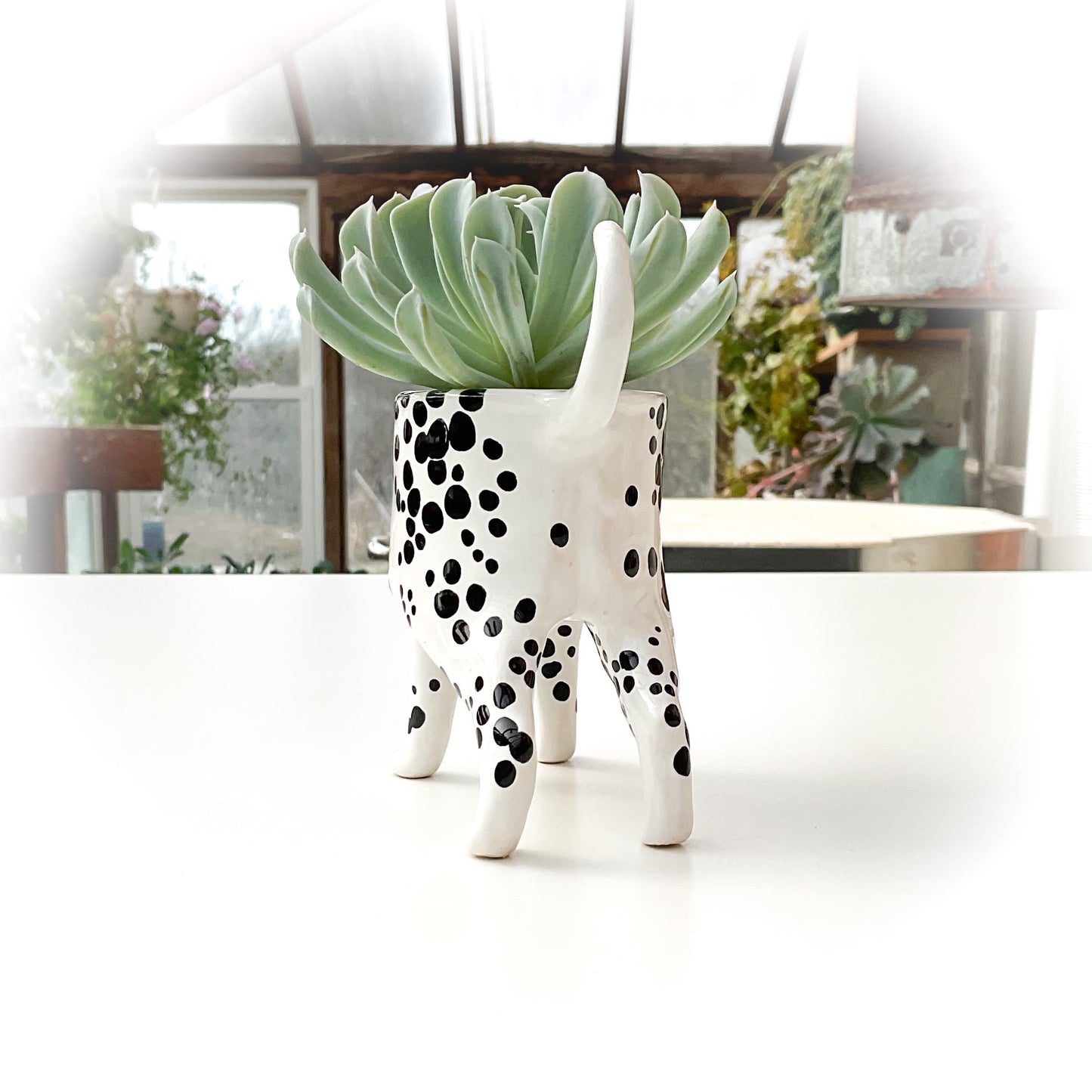 Dalmation Dog Planter - Ceramic Dog Plant Pot