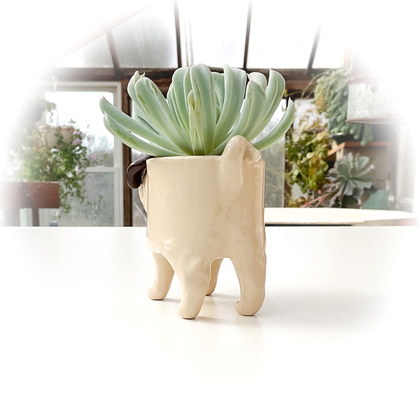 Pug Dog Planter - Ceramic Dog Plant Pot