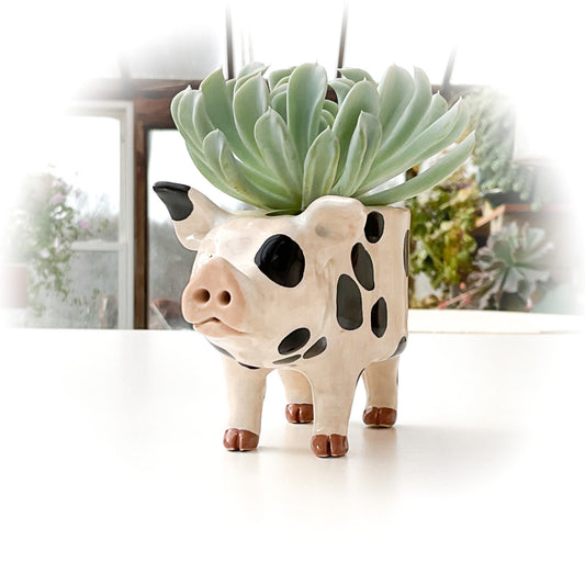 Gloucestershire Pig Pot No.2 - Ceramic Pig Planter