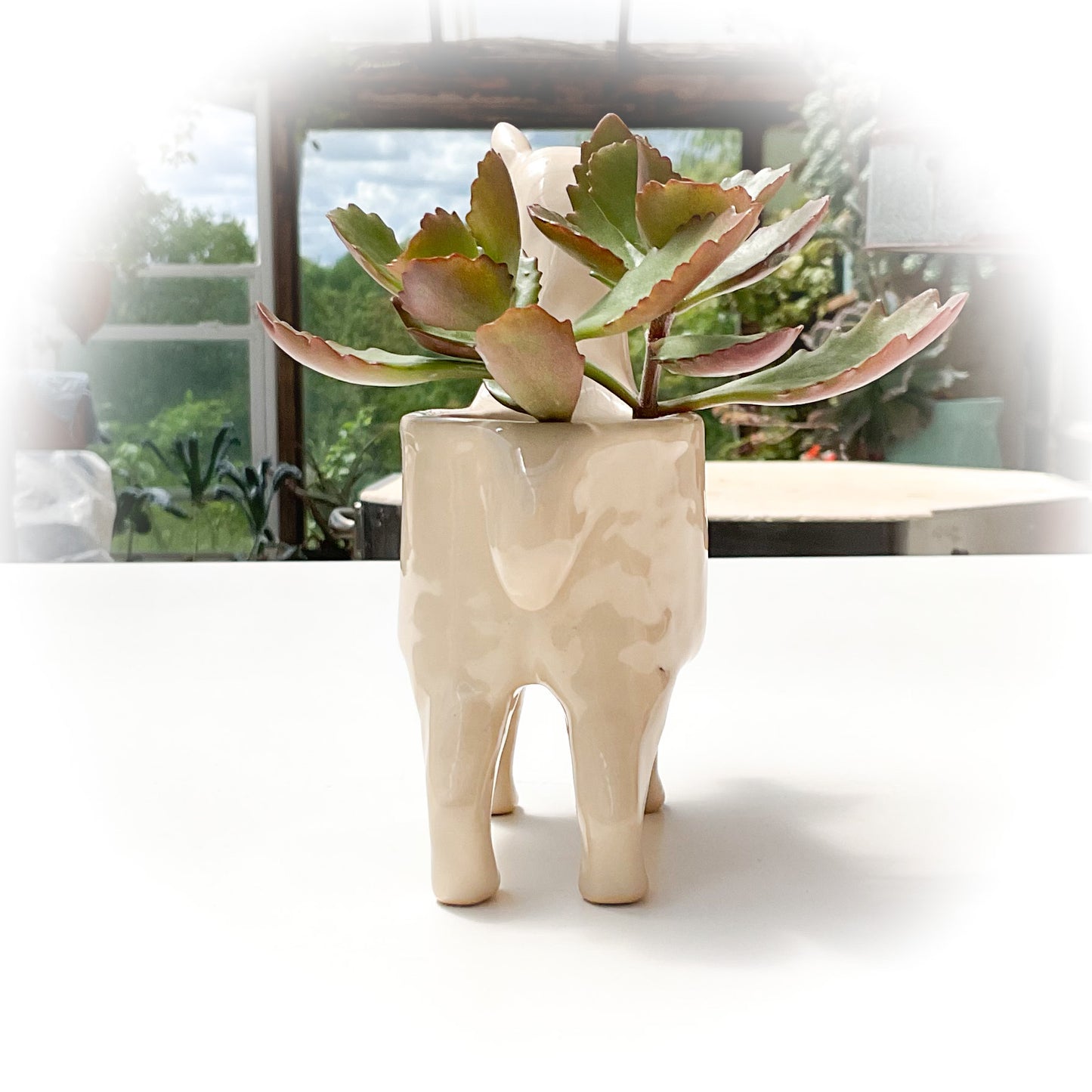 Beige Alpaca Pot - Ceramic Alpaca Planter
