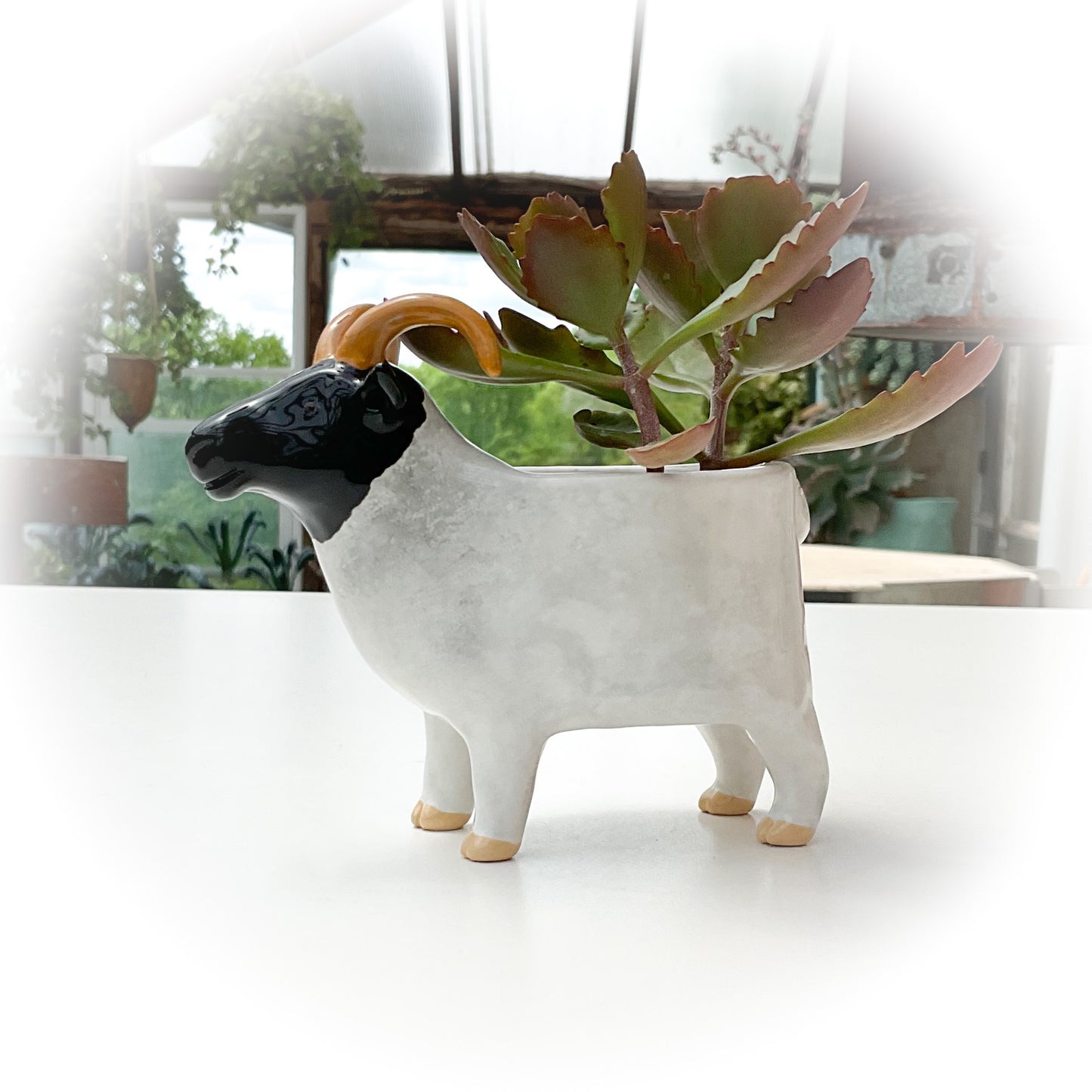Black and White Sheep Pot - Ceramic Sheep Planter