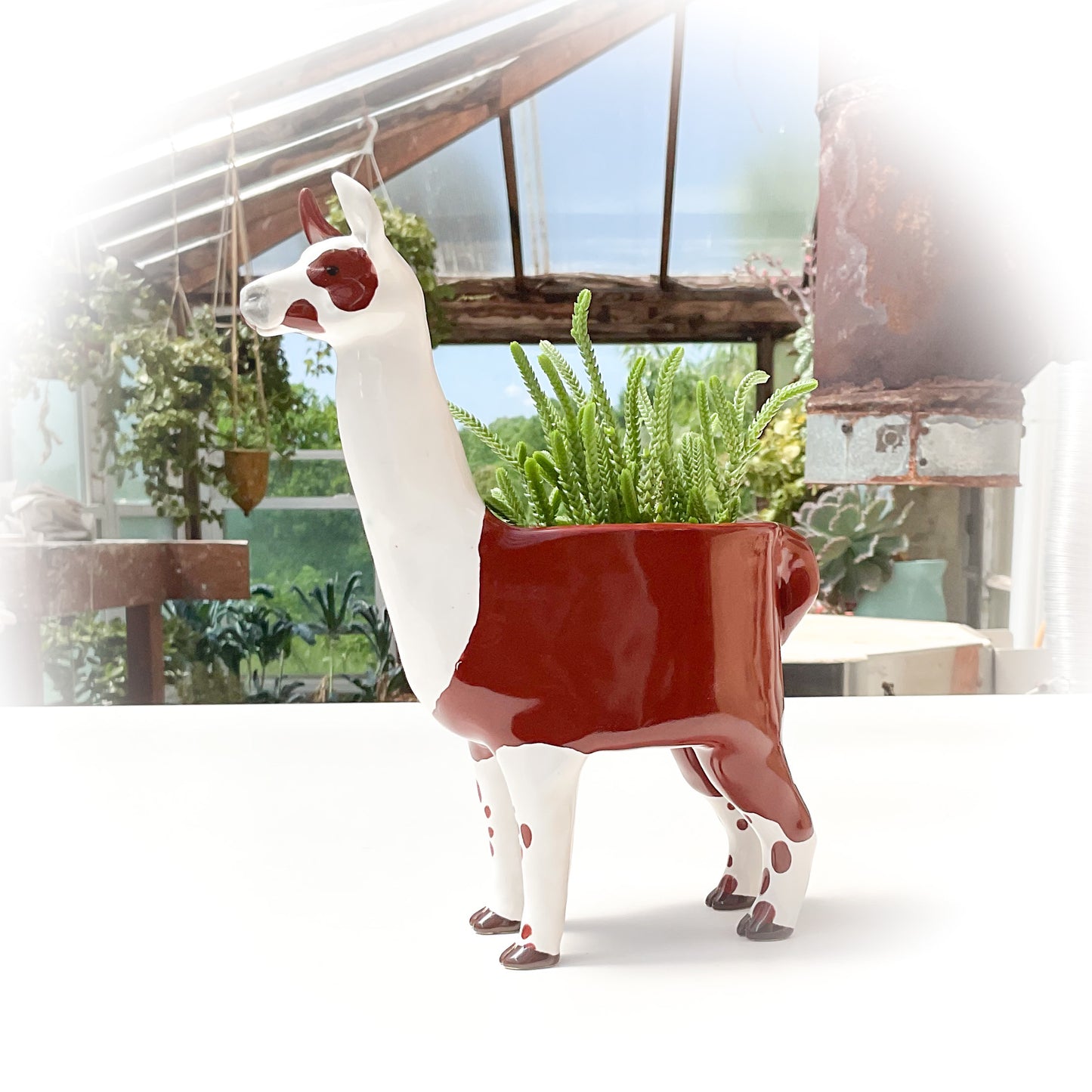 White Spotted Llama Pot - Ceramic Llama Planter