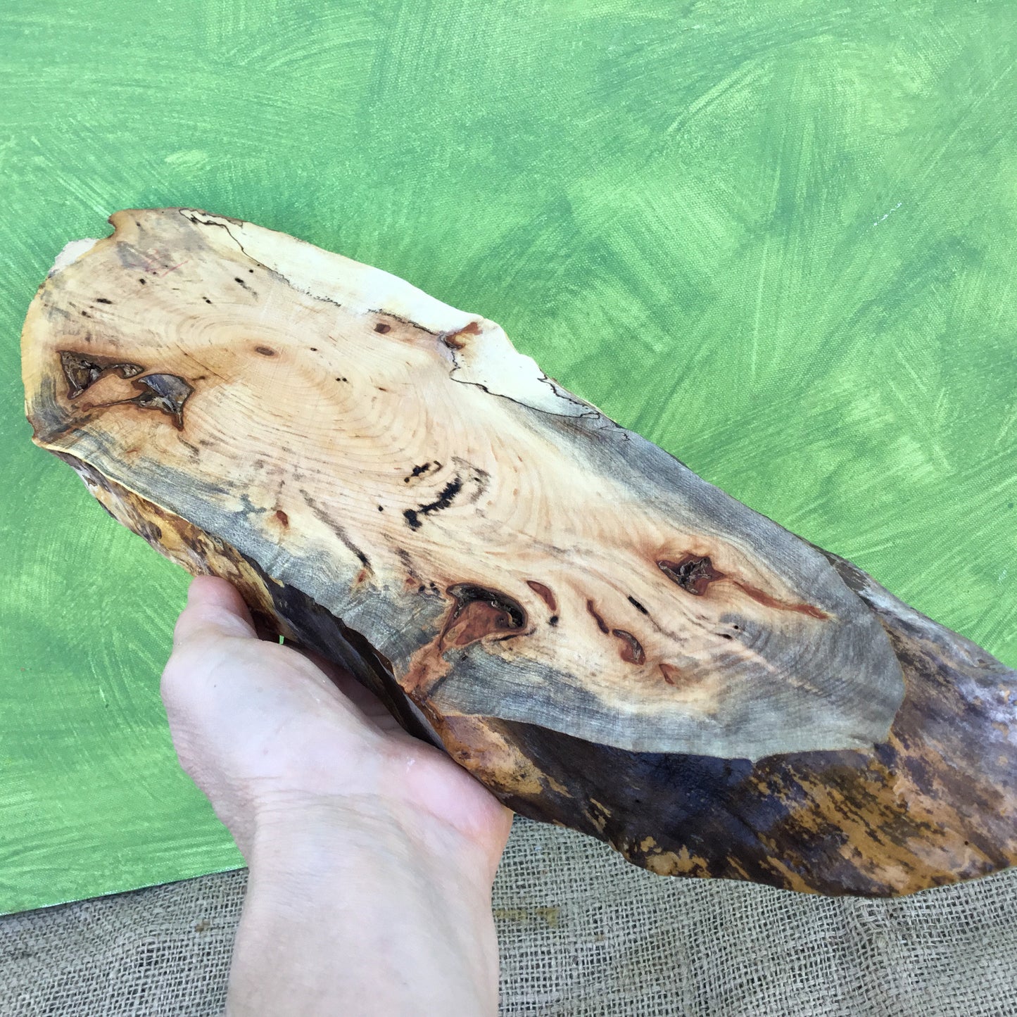 Spalted Maple Live Edge Wood Slice - 15.25" x 4.25" x 1"