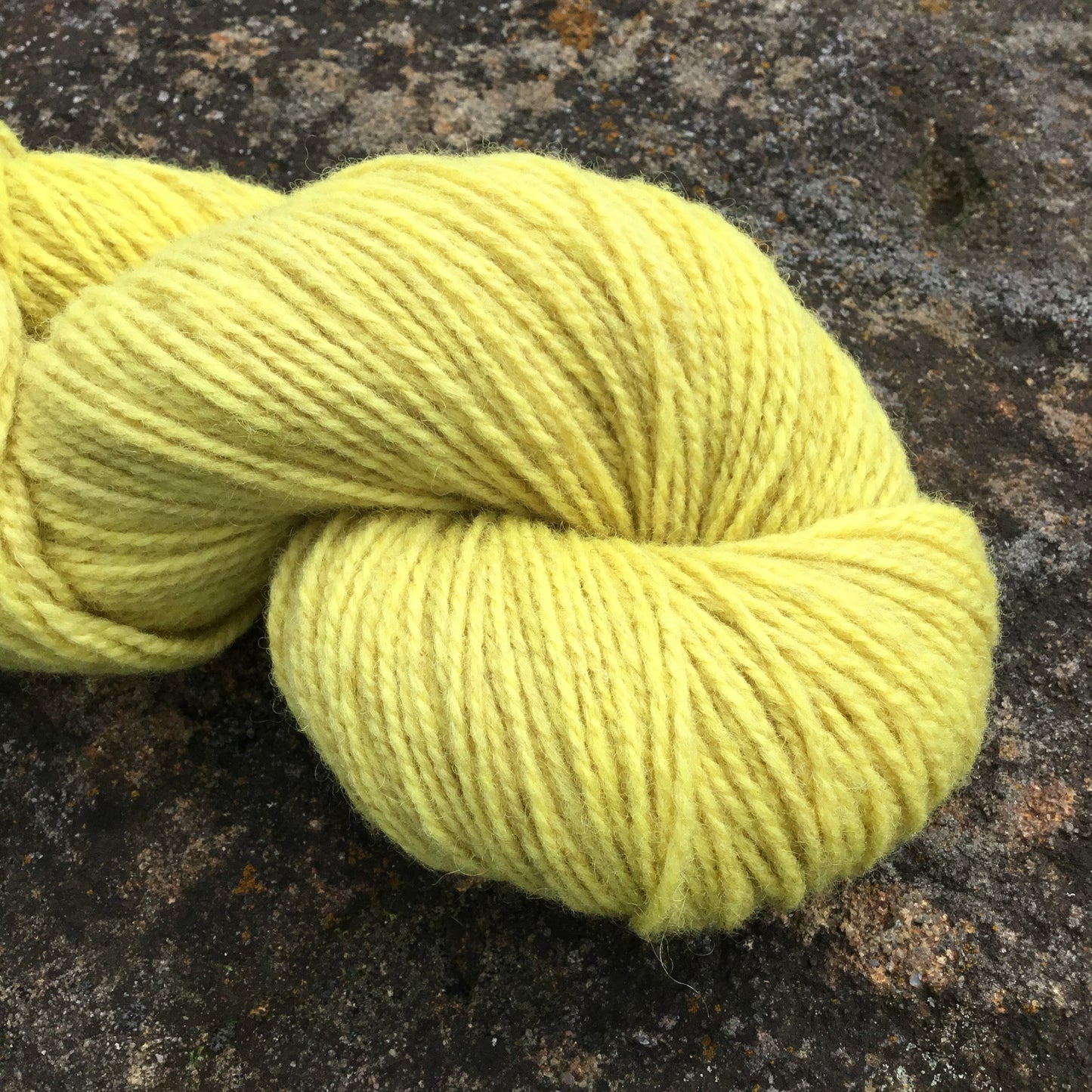 Soft Yellow - DK Wool Yarn (80Merino 20Romney) 2 ply - 4 oz skeins