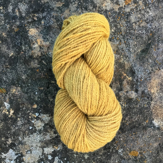 Autumn Oak - Worsted Wool Yarn (40Merino 60 Romney) 2 ply - 4 oz skeins