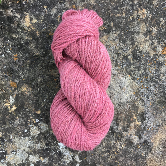 Hibiscus - Worsted Wool Yarn (40 Merino 60 Romney) 2 ply - 4 oz skeins