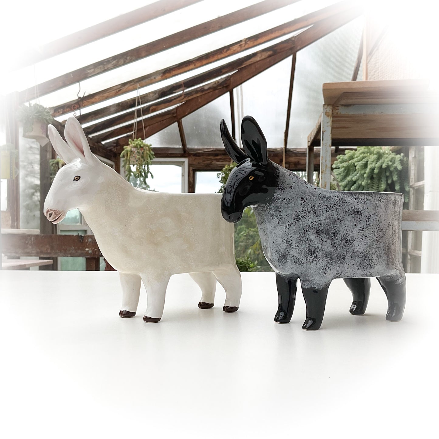 *RESERVED LISTING*  Border Leicester Sheep Planters - Ceramic Sheep Planters
