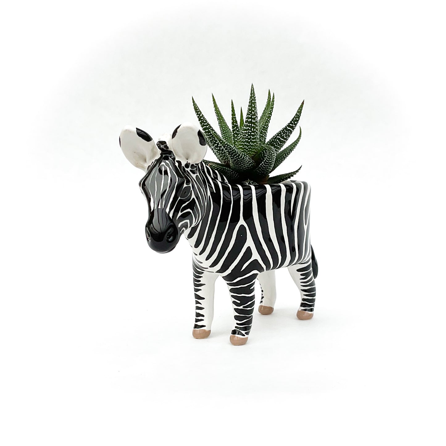 Zebra Pot - Ceramic Zebra Planter