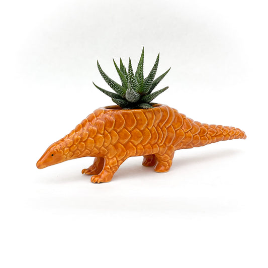 Pangolin Pot - Ceramic Pangolin Planter