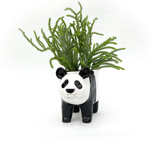 Giant Panda Pot - Ceramic Panda Bear Planter