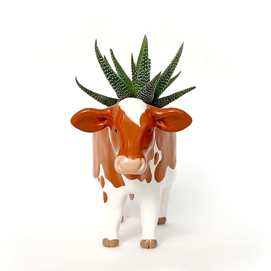 Little Guernsey Cow Pot