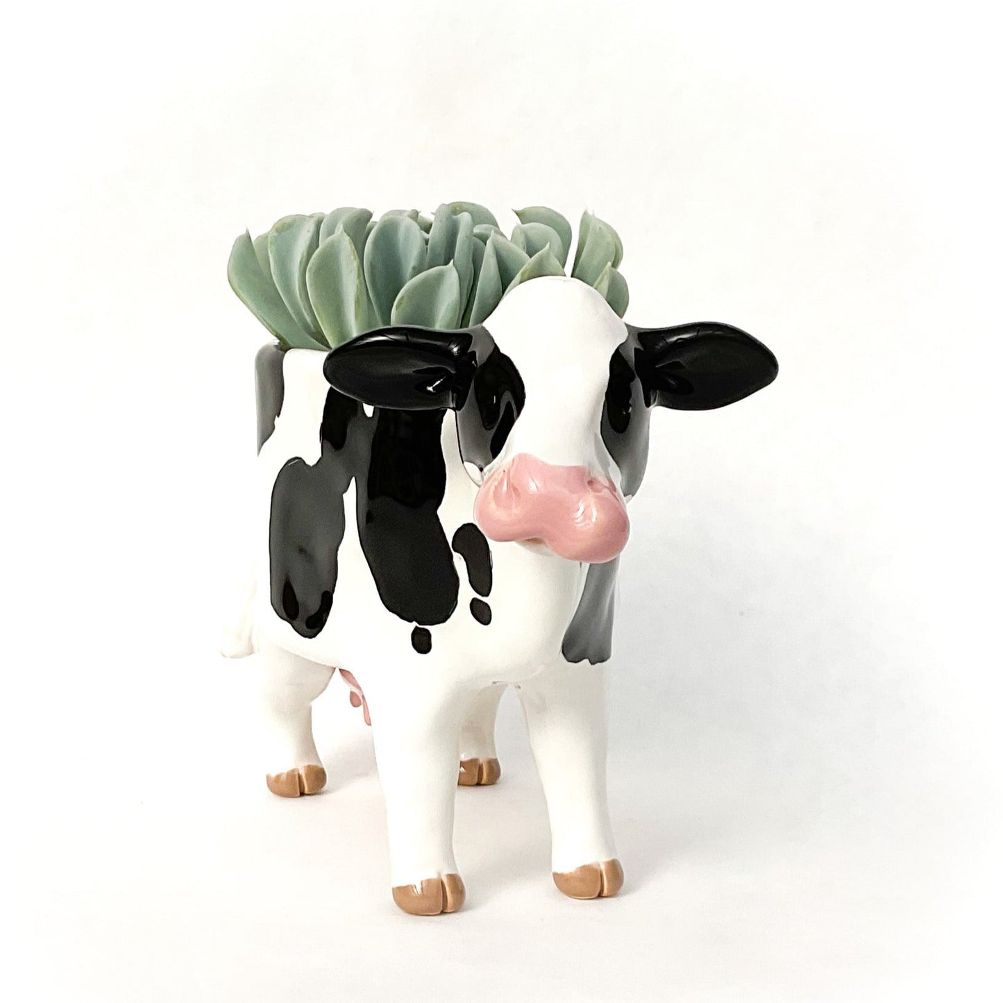 RESERVED for J.J. -  Ceramic Holstein & Pig Planter