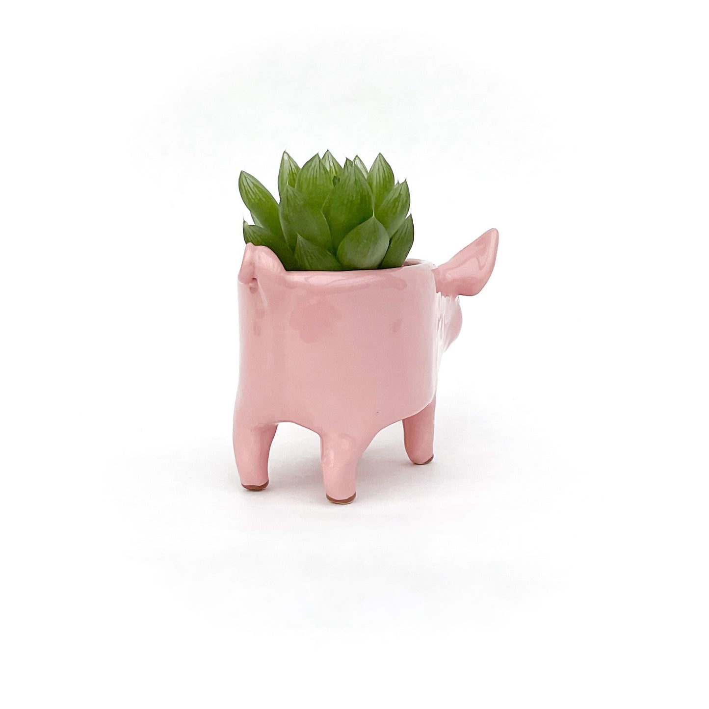 Pink Yorkshire Pig Pot