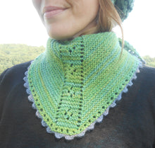 Load image into Gallery viewer, Alpaca Triangle Scarf with Picot Trim