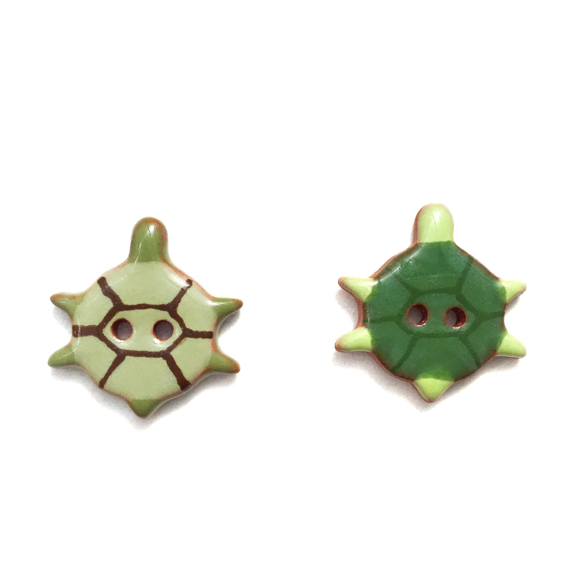 Turtle Shell Buttons Turtle Buttons - 3/4